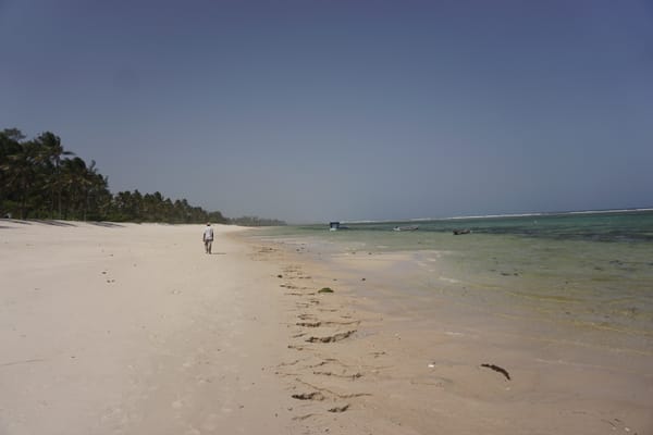 Kenija: 4 dalis - Wasini sala ir Tiwi beach