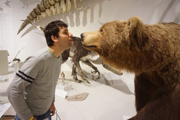 Zoologijos ir geologijos muziejai Kopenhagoje / Museums of Zoology and Geology in Copenhagen