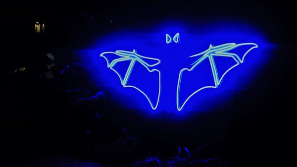 Singapūras – Botanikos sodas ir naktinis safaris / Singapore – Botanic gardens and Night safari