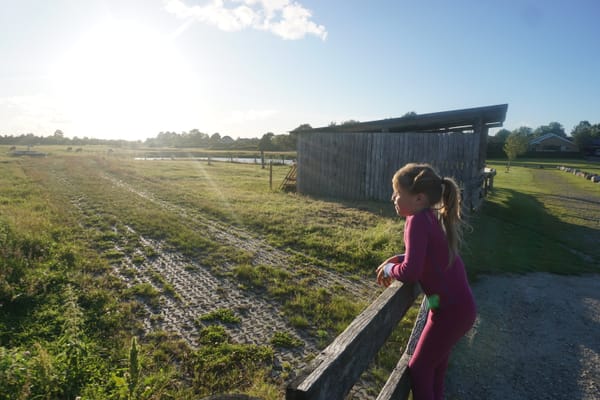 Vasaros atostogos Danijoje / Summer holidays in Denmark