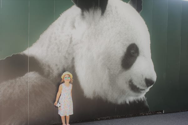 Tokijas / Pirmoji diena / Ueno parkas