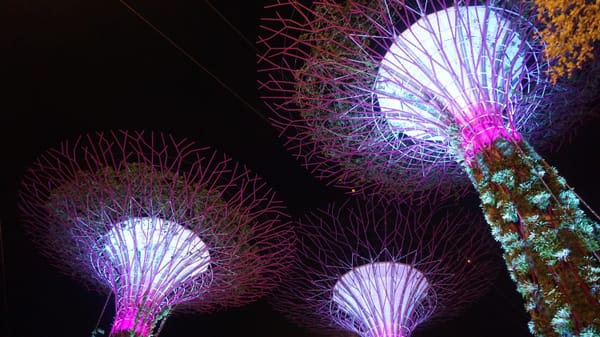 Paskutinė 2018ųjų diena Singapūre / The last day of 2018 in Singapore