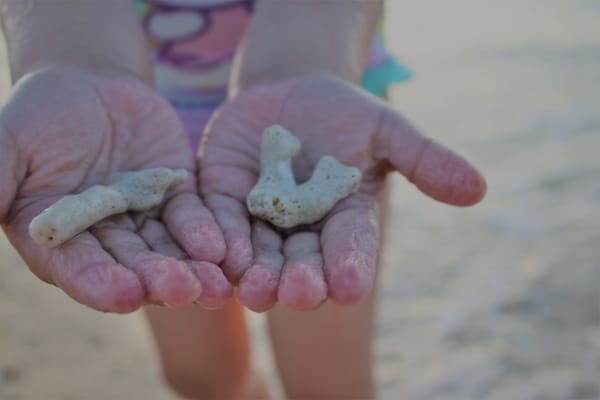 Okinawa / Aštuntoji ir devintoji dienos / Poilsis prie karštos jūros