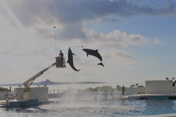 Okinawa / Paskutinis japoniškų atostogų įrašas