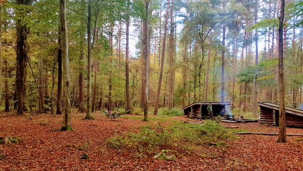 Miškas mums - viena geriausių išvykų